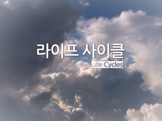 해외자연다큐_라이프 사이클
